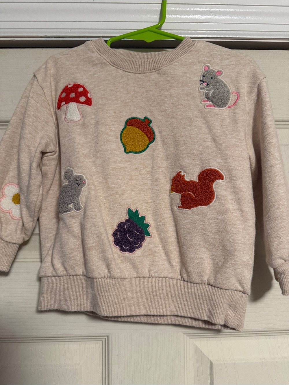 Mini Boden Cream Sweatshirt with Colorful Forest Patches